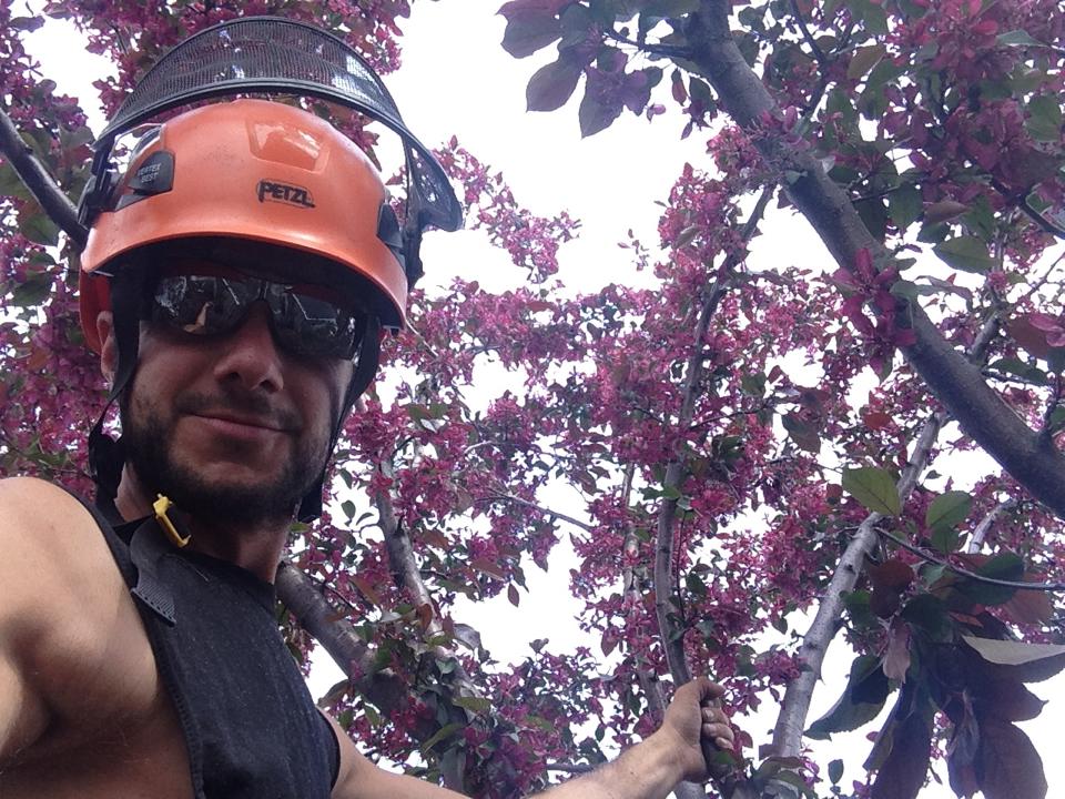 Justins Tree Service